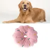Plüsch Hundespielzeug Donut mit Quietschfunktion – robust & Produktbild-Vorschau 2