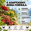 Stress spray – Ashwagandha, różeniec górski, Reishi i Podgląd zdjęcia produktu 3