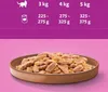 Whiskas Katzenfutter Adult 1+ Geschmacksmischung in Gelee Produktbild-Vorschau 4