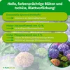 Purgrün Hortensiendünger 1 Liter Produktbild-Vorschau 3