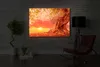 lightbox multicolor | Beleuchtetes Wandbild | Verwurzelter Produktbild-Vorschau 5