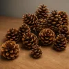 Tannenzapfen, Größe ca. 5-6cm, 1kg, ca. 50 Stk. | Pinus Produktbild-Vorschau 8