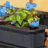 A close-up of a dark gray planter box filled with soil and blue begonia flowers, placed on a wooden surface near a window. Podgląd zdjęcia produktu
