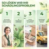 Orius Raubwanzen gegen Thripse - 1x Röhrchen - Thripse Produktbild-Vorschau 6