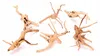 Aquarium Wurzel Red Moor XS 10-15 cm, natürliche Deko für Produktbild-Vorschau 3