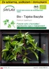 SAFLAX - Zestaw do uprawy - Bio - Tajska Bazylia - 250 Podgląd zdjęcia produktu 1