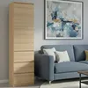 Armoire, armoire vestiaire, armoire polyvalente avec 3 Voir les images du produit 7
