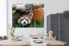 MuchoWow® Poster Roter Panda - Stamm - Gras 160x120 cm - Produktbild-Vorschau 3