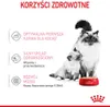 Royal Canin BABYCAT INSTINCTIVE - Nassfutter für Katzen - Produktbild-Vorschau 8
