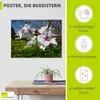 ARTland Poster Mandelbluete an der Algarve in Portugal Produktbild-Vorschau 2