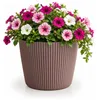 Prosperplast plantenpot Buckingham - terra bruin - diameter Productafbeelding-voorbeeld 3