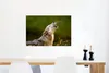 MuchoWow® Poster Wolf - Wald - Natur 60x40 cm - Produktbild-Vorschau 5
