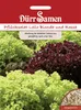Pflücksalat Lollo Bionda und Rossa | Salatsamen von Dürr Produktbild-Vorschau 3