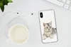 MuchoWow® Handyhülle Schutzhülle Hülle für iPhone X Kitten Produktbild-Vorschau 6
