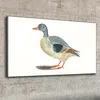 Coloray Bild aus Leinwand 100x50 Leinwand Dekoration - Tier Produktbild-Vorschau 2