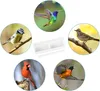 5 Stücke Kunststoff Vogelnapf VogelKäfig, Wassernapf Produktbild-Vorschau 6