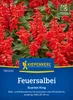 Artikelbild 2 von 'Feuersalbei Scarlet King' aus der Kategorie Salbeisamen Produktbild-Vorschau