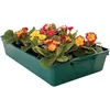 Gärtnerbox, 58 x 32 x 11 cm, lebensmittelecht, grün (1 Produktbild-Vorschau 2
