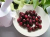 Odkôstkovač čerešní - BIOWIN Náhľad obrázku produktu 19