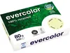 Exacompta Clairefontaine Evercolor - Kanariengelb - A4 (210 Produktbild-Vorschau 1
