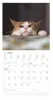 A calendar page for April 2026 with a cat image at the top. Produktbild-Vorschau
