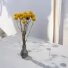 Craspedia - (Natürliche Extra Craspedia) - Bouquet mit 15 Produktbild-Vorschau 4