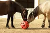 KERBL Heuball Pferde Spielzeug Futterspielball Pink Produktbild-Vorschau 5