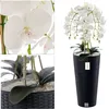 Künstliche Orchidee Kaskaden Blumenstrauß Weiß im Topf Produktbild-Vorschau 2