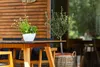 A white planter with green plants sits on a wooden table outdoors, with a wooden wall in the background and a potted tree to the right. Náhled obrázku produktu