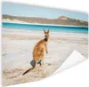 MuchoWow® Poster Känguru - Strand - Meer 120x80 cm - Bilder Produktbild-Vorschau 1