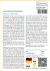 SAFLAX Garden in the bag - Kanarische Dattelpalme - Phoenix Produktbild-Vorschau 3