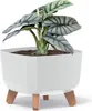 Prosperplast Gracia Square Blumentopf mit abnehmbaren Produktbild-Vorschau 18