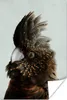 MuchoWow® Poster Kakadu - Vogel - Bronze 80x120 cm - Produktbild-Vorschau 1