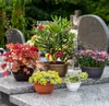 KADAX schaal van kunststof, ronde bloempot, weerbestendige Productafbeelding-voorbeeld 4