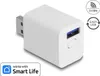 DELOCK WLAN EASY-USB Smart Life Schalter Anteprima dell’immagine prodotto 1