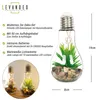 2er Set Sukkulenten Glühbirne Im Glas B x H: 8 x 19 cm LED Produktbild-Vorschau 2