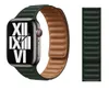 Apple Cinturino a maglie in pelle verde sequoia 45 mm - M.L Anteprima dell’immagine prodotto 9