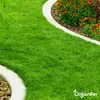 Rasendünger All-In-One (20 kg - für 400 m2)- Organifer Produktbild-Vorschau 6