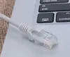 A close-up of an Ethernet cable connector resting on a laptop keyboard. Anteprima dell’immagine prodotto