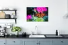 MuchoWow® Poster Schmetterling - Botanisch - Blume 60x40 cm Produktbild-Vorschau 3