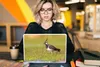 MuchoWow® Laptop Aufkleber Sticker Cover Vogel - Gras - Produktbild-Vorschau 5