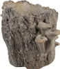 Clayre & Eef Blumentopf 20x18x18 cm Braun Stein Produktbild-Vorschau 2