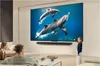 A family is watching a large TV screen displaying dolphins swimming in the ocean. A young girl is pointing at the screen. Voir les images du produit