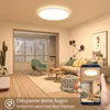A modern living room with a ceiling light, sofa, and coffee table, with a smartphone displaying the ceiling light. Produktbild-Vorschau