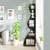 A modern shelving unit with decorative items and plants in a living room setting. Podgląd zdjęcia produktu