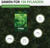 Thymian Deutscher Winter Samen - Thymus vulgaris - Produktbild-Vorschau 3