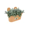 elho green basics easy hanger large, Topfpflanzer, Hängend, Produktbild-Vorschau 3