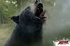 Cocaine Bear Produktbild-Vorschau 10