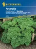 Petersilie Grandeur | Petersiliensamen von Kiepenkerl [MHD Produktbild-Vorschau 1