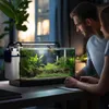 A couple looking at a small aquarium on a desk. Produktbild-Vorschau